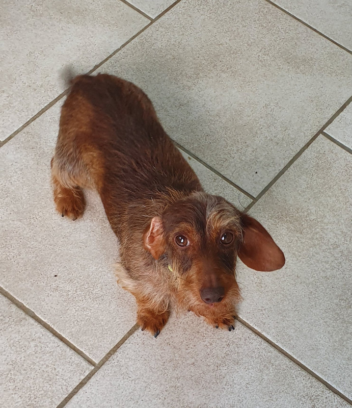 [Image: 20220613-224740.jpg]