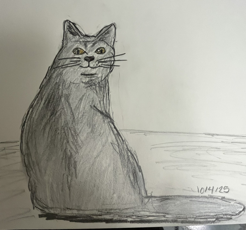 cat4