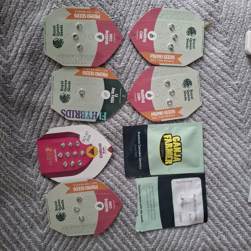 WhatsApp Image 2025-09-11 at 15.18.26(3)