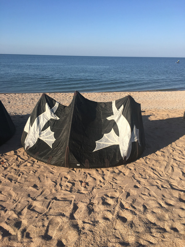 D385BAD3-D591-4494-B6FF-ED6A01A8A950