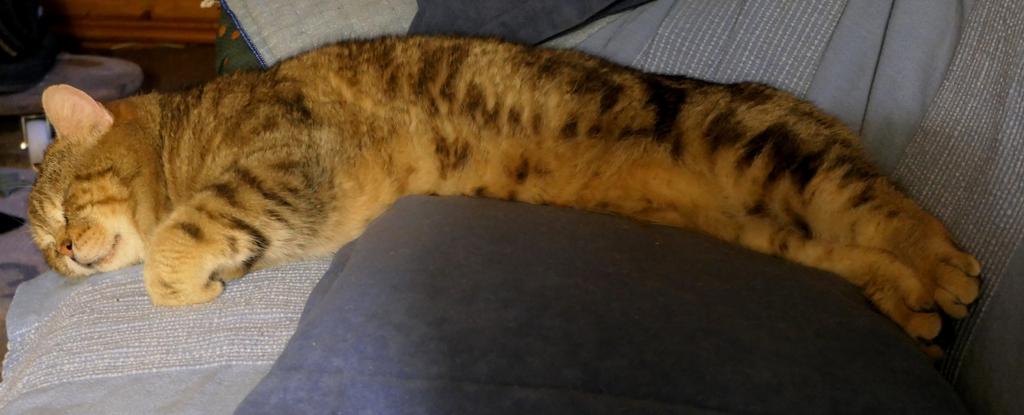 330336464 599733598341101 2824583331063827328 n