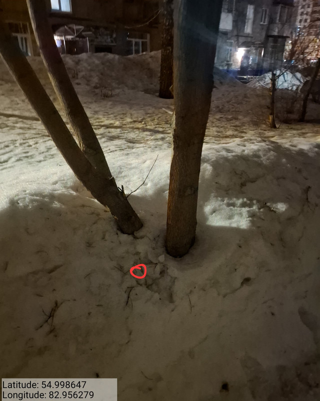 20260325 005931 021025