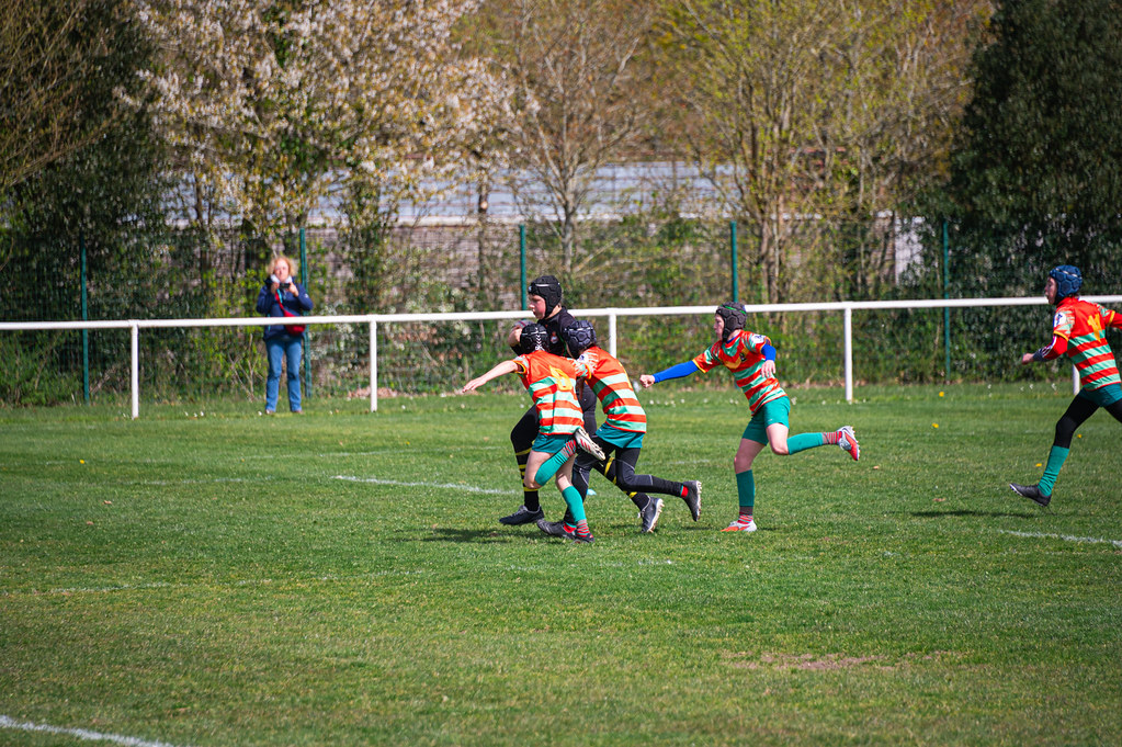 tournoi-de-latlantique-2026-adonis-griffon-53-55181458328-l