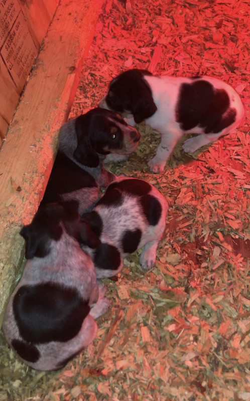 CFAB78D4-0381-46E0-890A-8FCE1D57587B