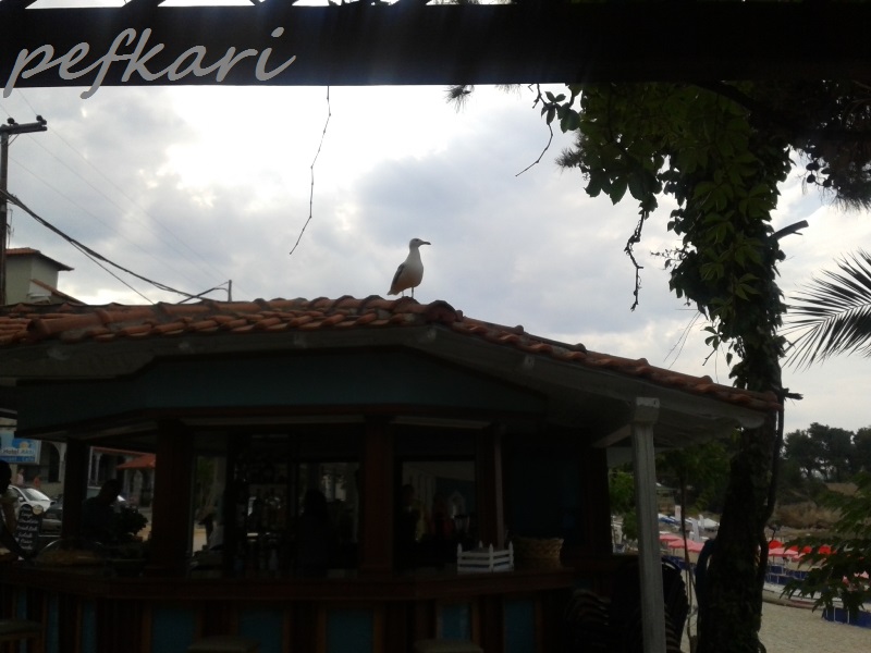 Slika