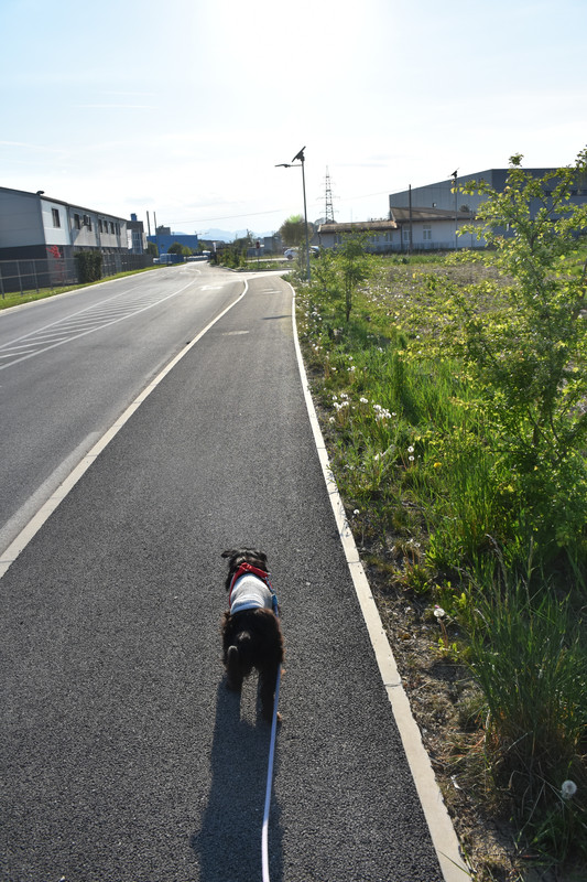 Slika