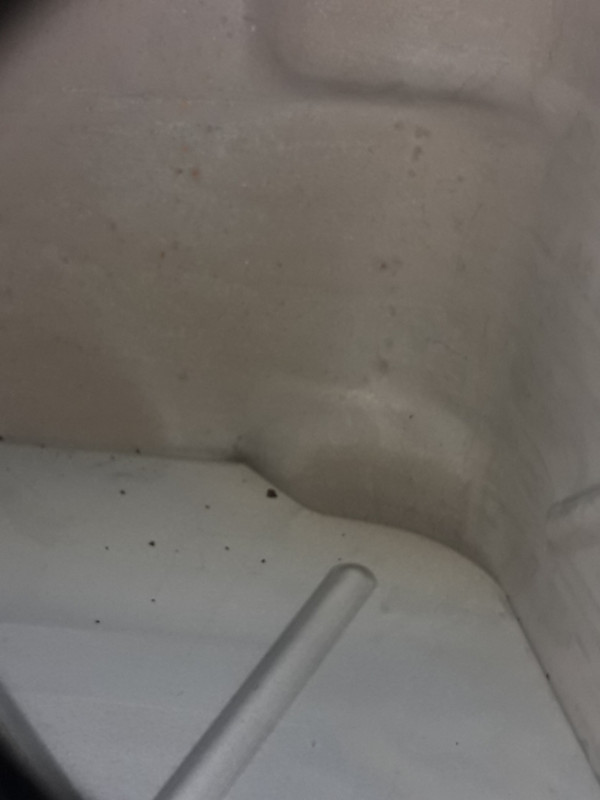 F1E41021-DB8E-453D-9BCF-32DB50EE7A7E