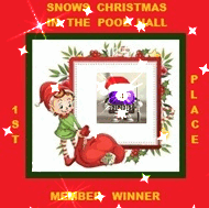 imageedit 13 2103709790