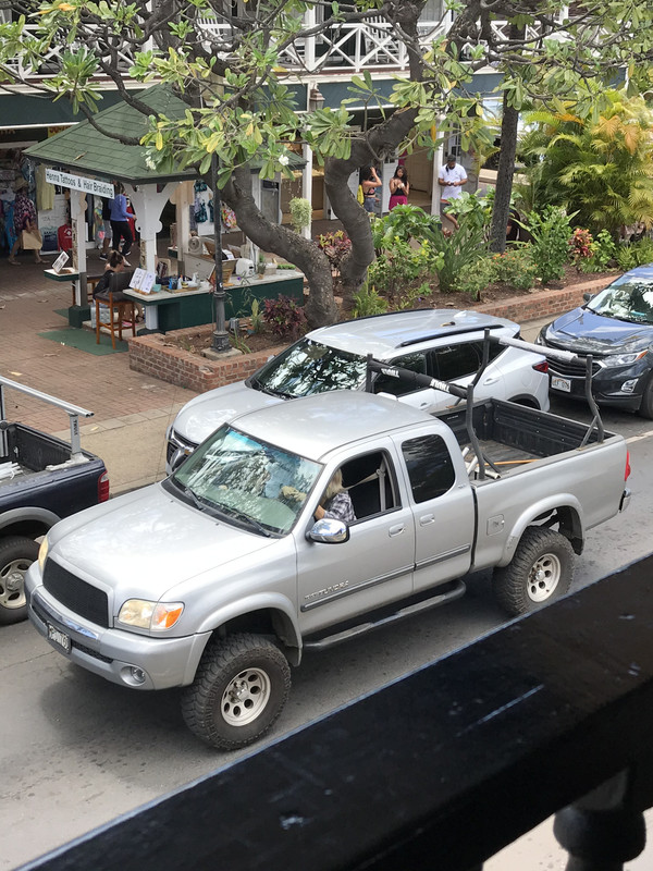 C83A6ABE-0DD6-4847-88A0-4B22587F4580