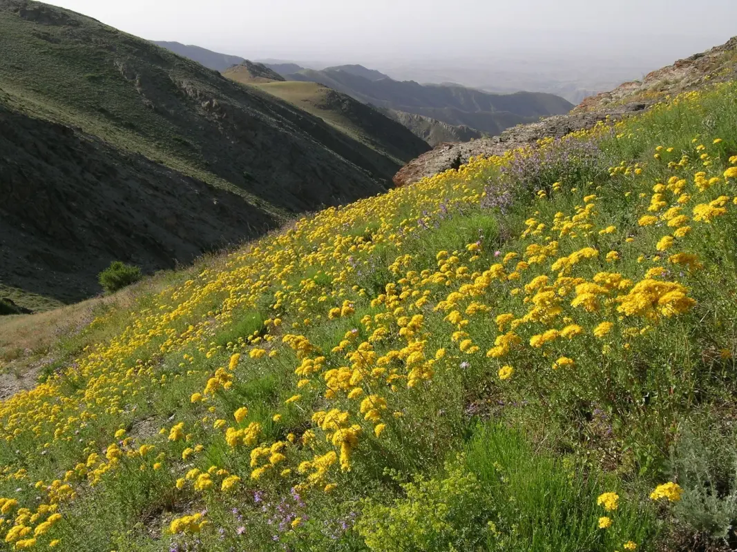 i-12 Нуратинский горный заповедник