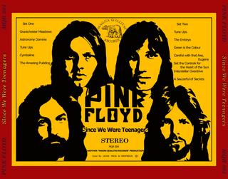 Pink Floyd â Since We Were Teanagers live in Santa Monica (19-01-1970)  [RARITAâ]