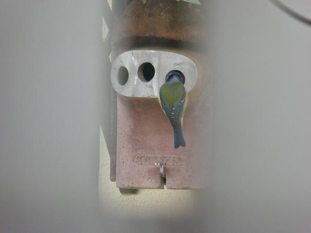 9EF089C1-A01A-4708-B409-E3BF7F25E5EE