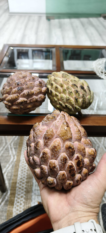 IMG20260803150135