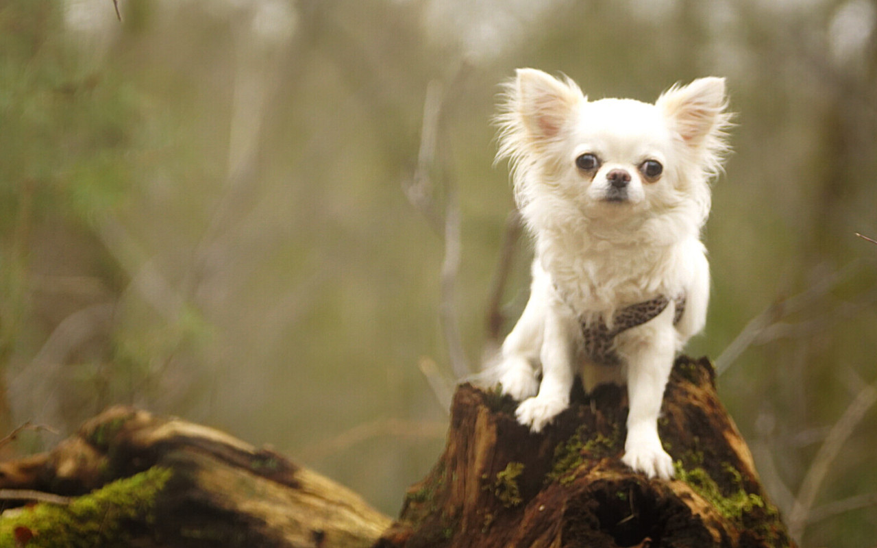 Lumii_20210309_195222094