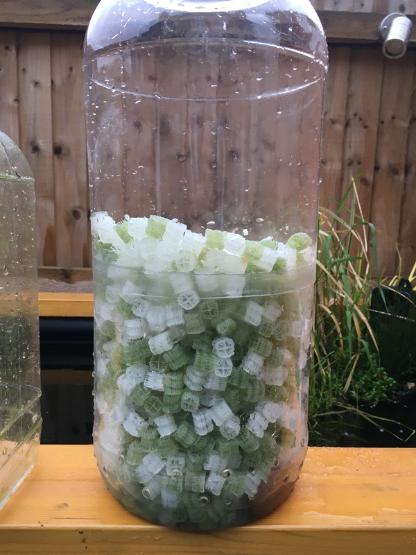 76531733-16C2-47D9-93B5-8336823E66B1