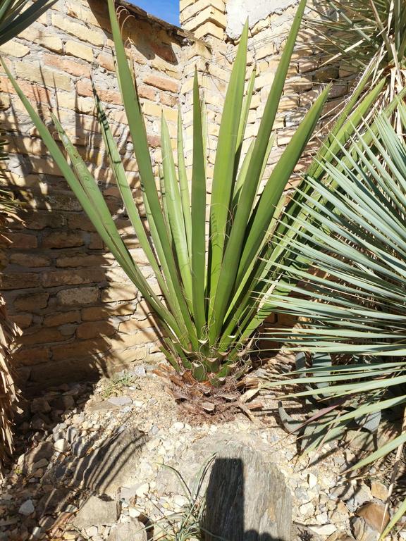 a340b1b7 00a1 4b8b 9c9f 3b12cd7f3fd5