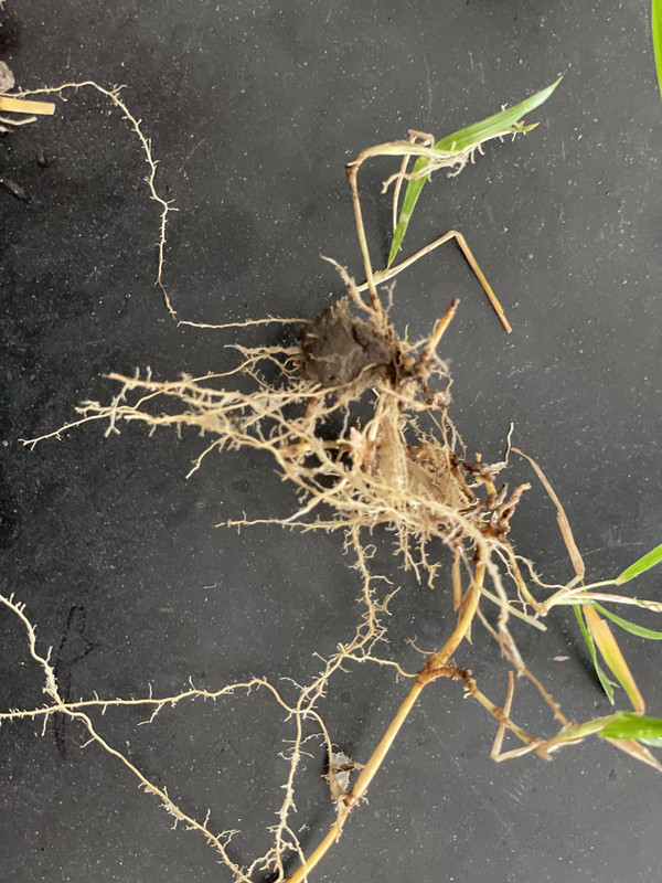 0C53053B-1459-4C14-BC5B-43D19AF1B146