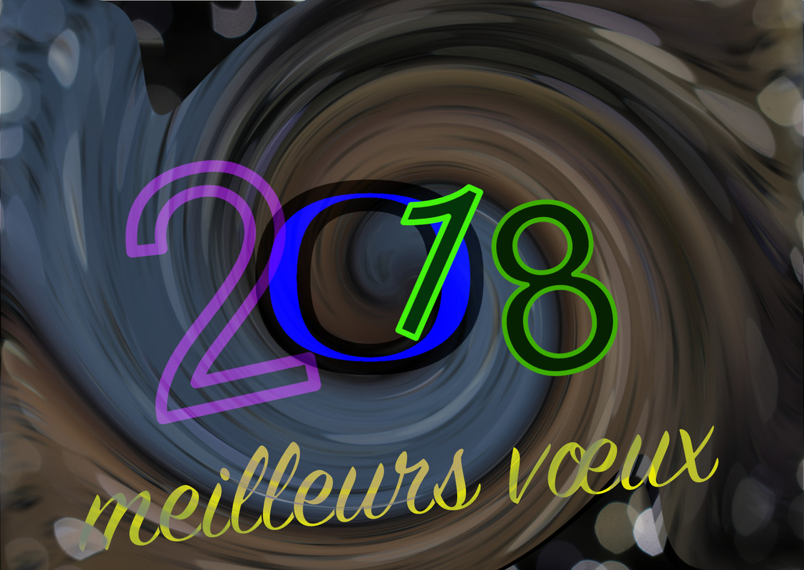 Vœux 2018