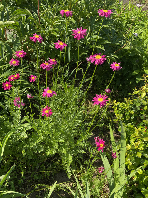 9B45FE43-B9E4-4D35-93C2-6CDCCD293C1C