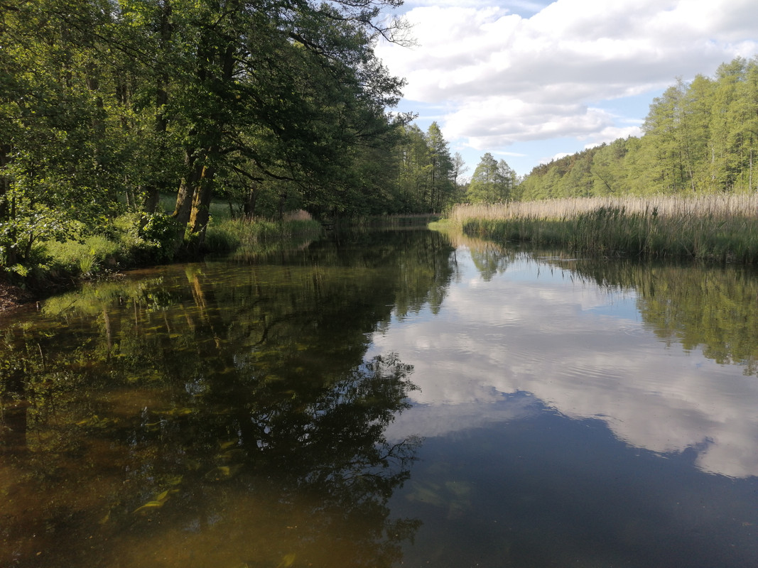 02.17 - IMG_20210531_165350 (Czesio1)