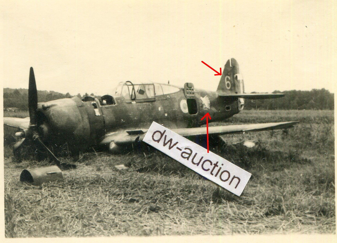 Frankreich , notgelandetes französisches Flugzeu