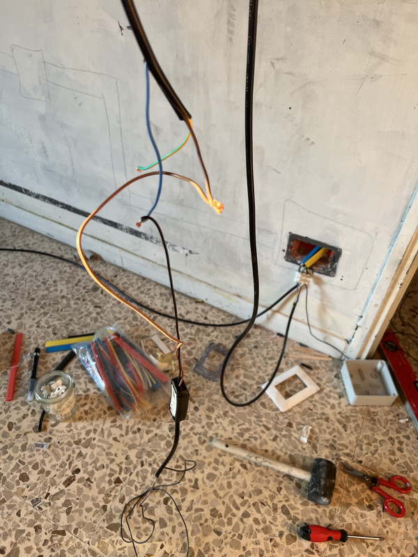 8418CB91-4F81-462C-B6BE-6B16B7CAC22F