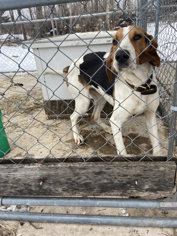 7AA06C31-9F02-4A5C-A038-6788B9D78EA7