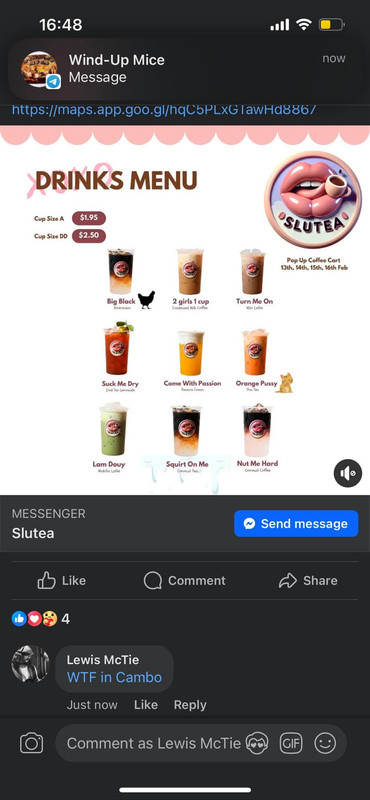 FB_IMG_1739499318038