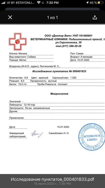 AF753990-7FAB-46FA-858F-D2C859055B26