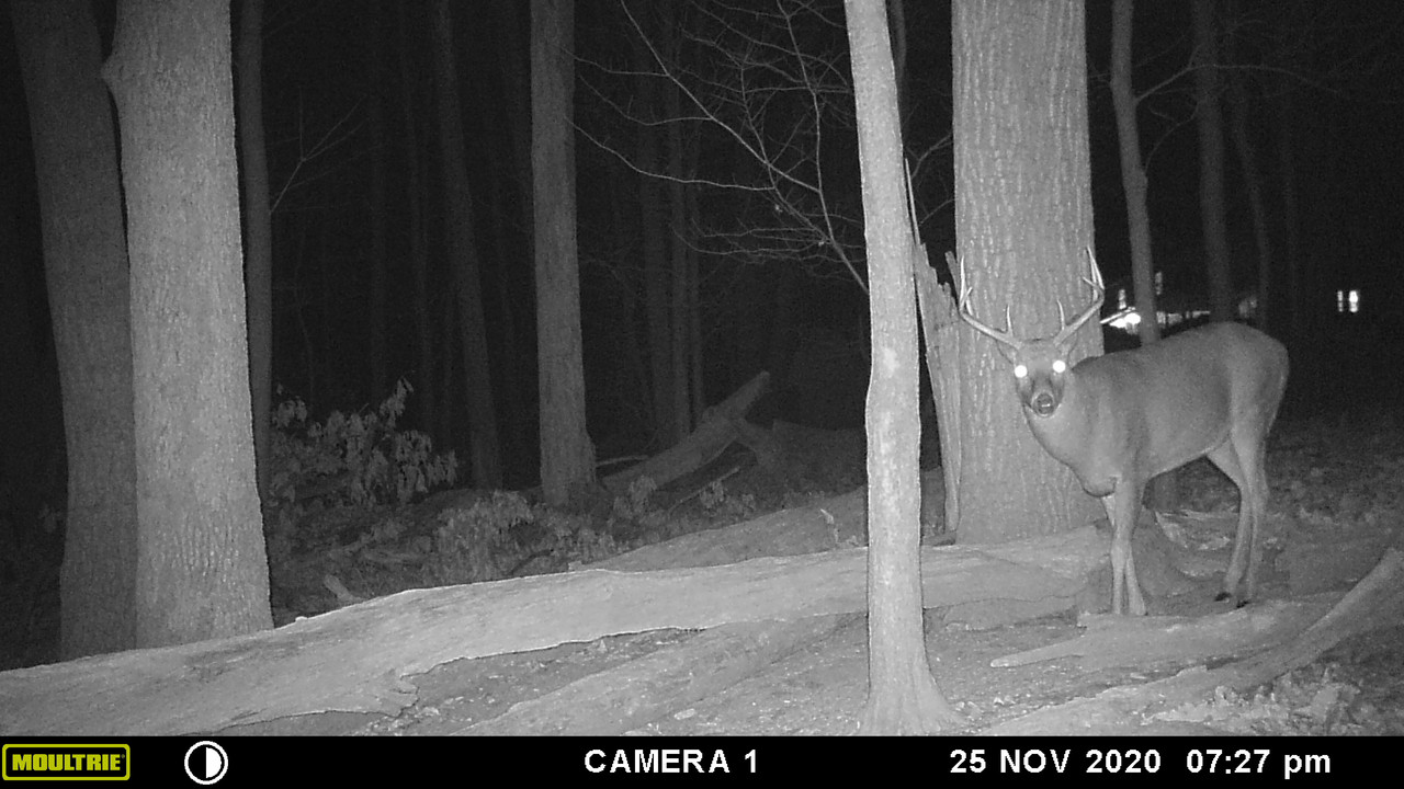 E12EEE16-61FB-4AEE-A02C-2CAB01AE59C5