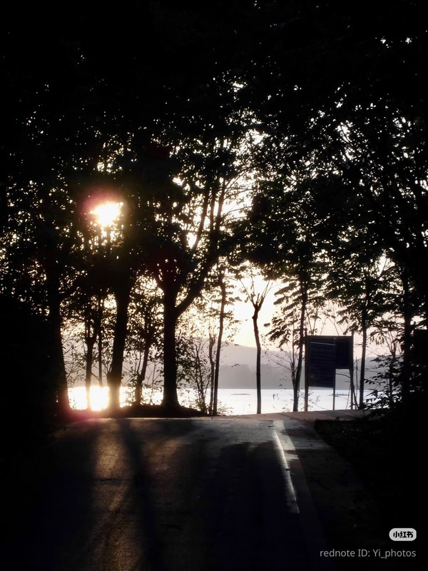 photo 9 2025 12 14 22 01 24