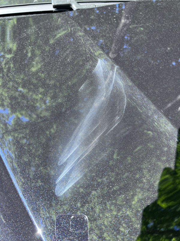 0B1F5950-F02E-423A-8008-D6B27FDDF865