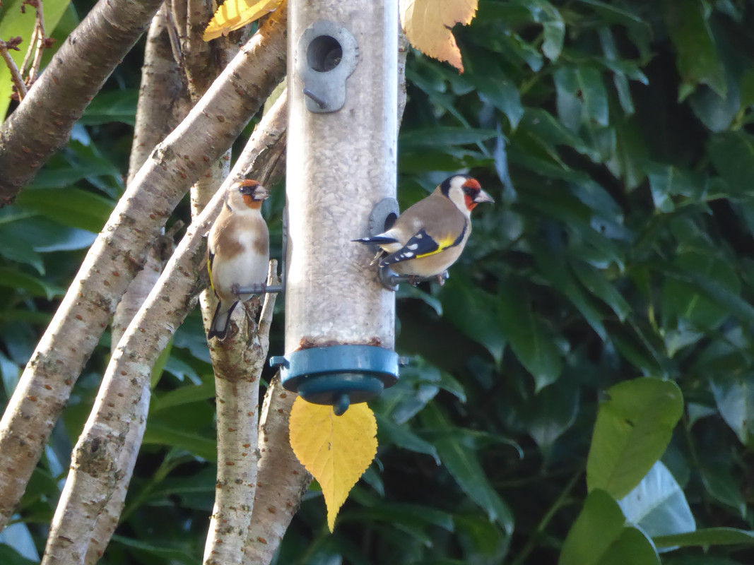 233958BC-E9E4-450B-8FF9-7945E16A60AB