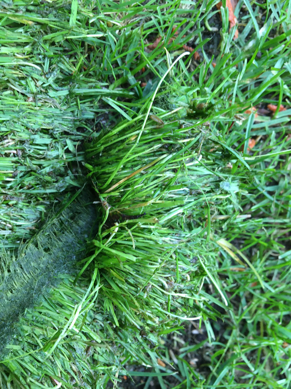 3975A126-804B-4581-A848-5E16C1DC0800