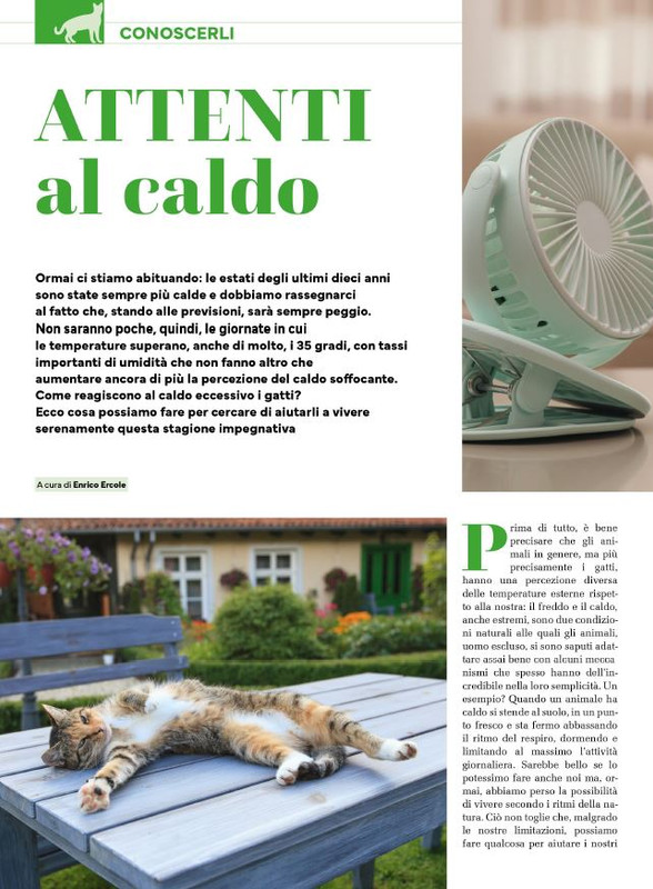 Ga Ma Ago-Set 2025 (7)