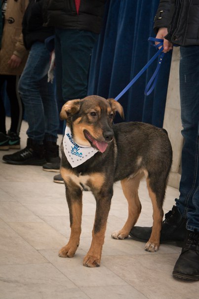 8EA24F1E-A518-449C-87C9-79C8F05E17A2