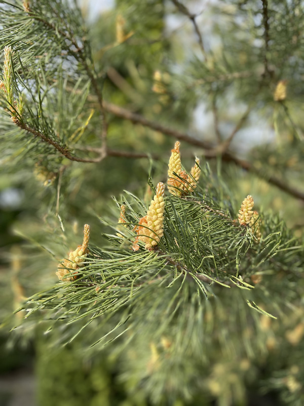 16158BA6-681E-49B0-A4A0-6BCE28169A1C