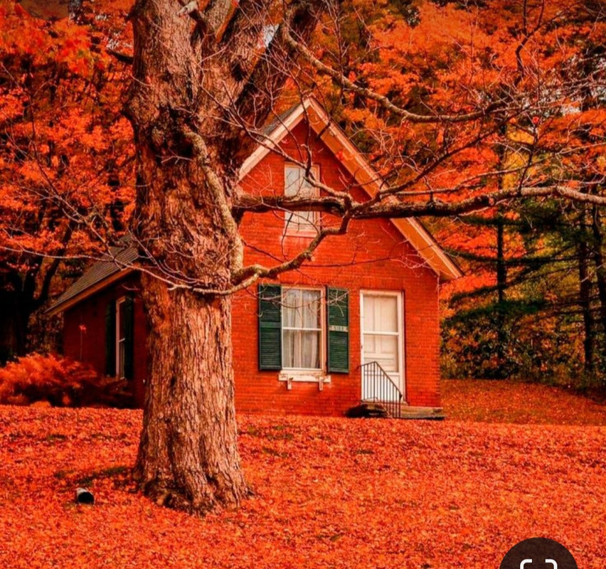 Screenshot_20240404_214928_Pinterest