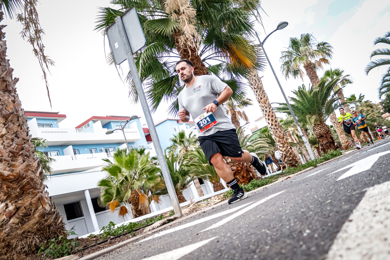 Canary Run 7998
