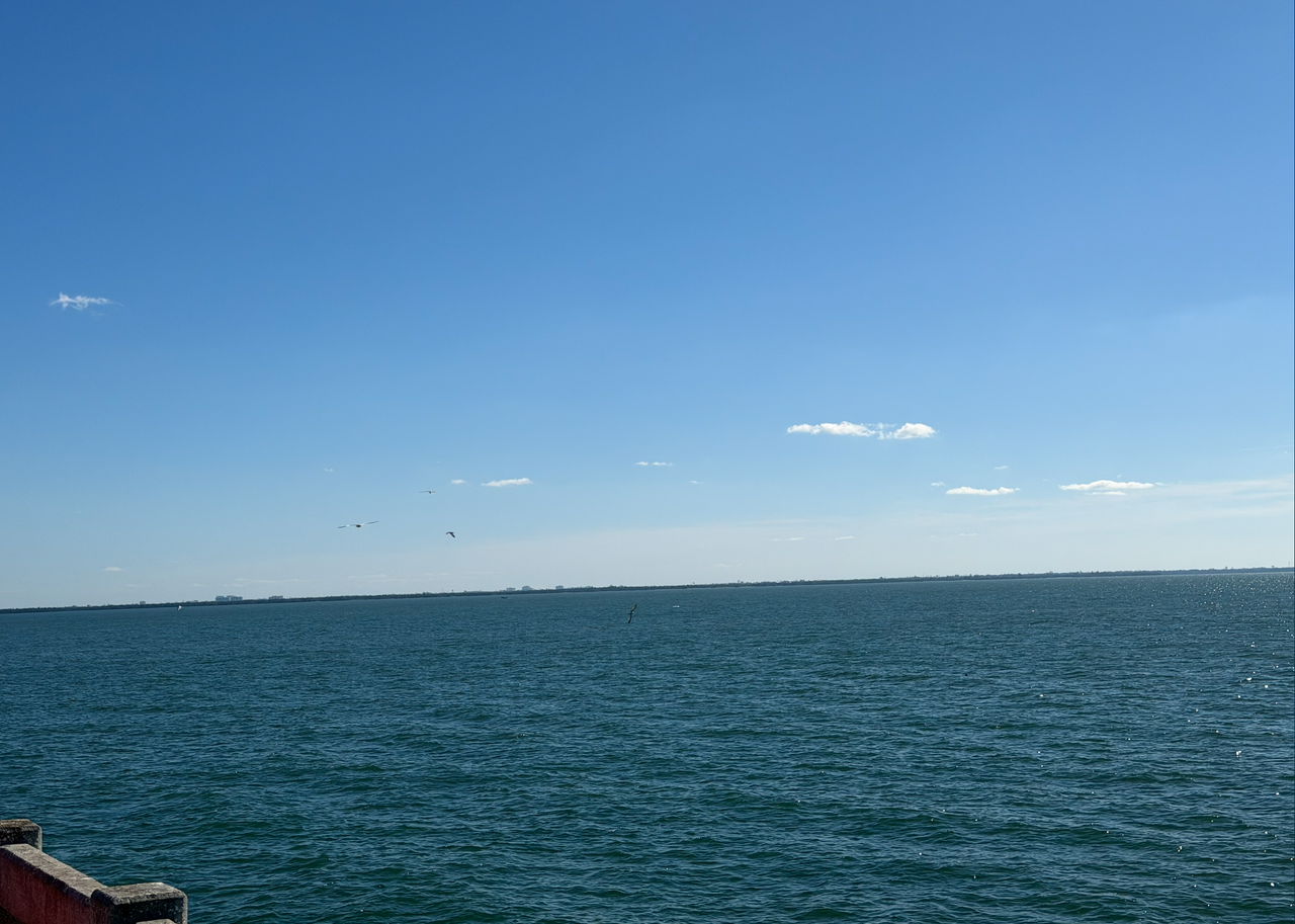 [Image: Skyway-Bridge03.png]
