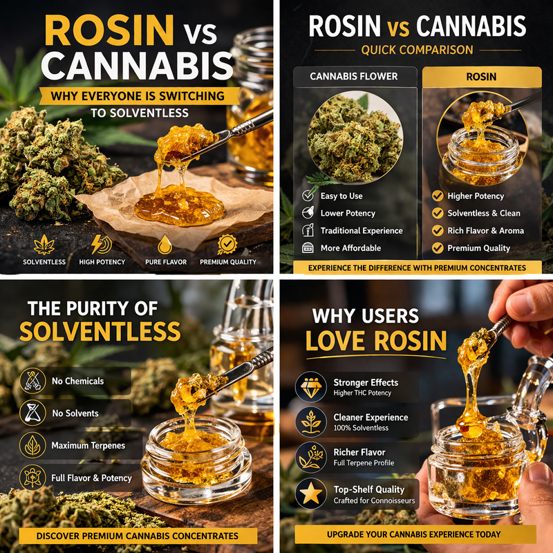 rosin vs cannabis