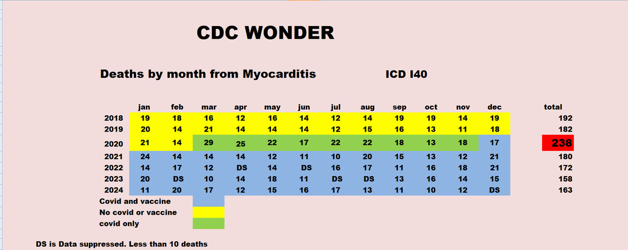 usa 2034 myocarditis