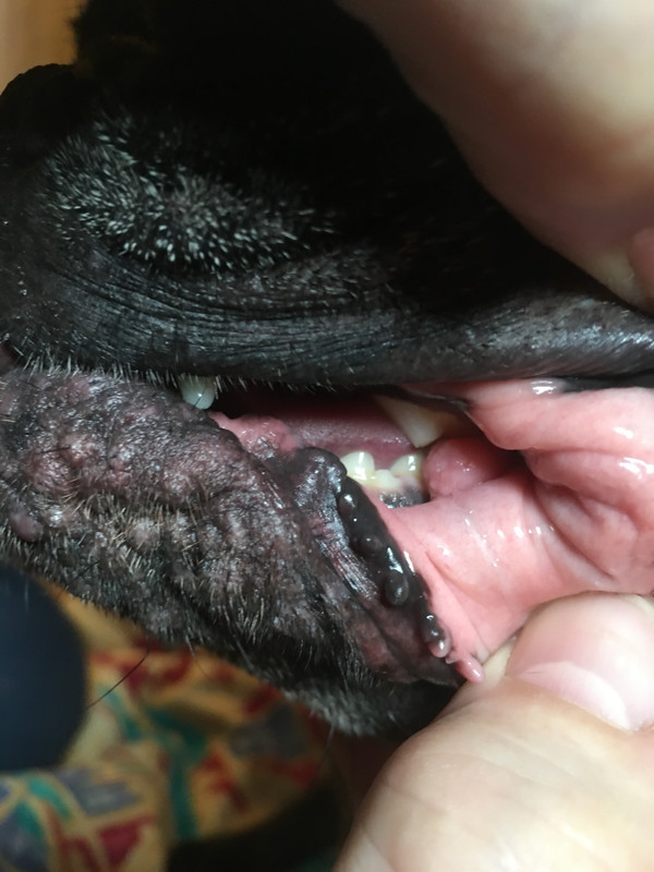 1DAAD625-1A35-45E6-BAFB-B81E874BFC98