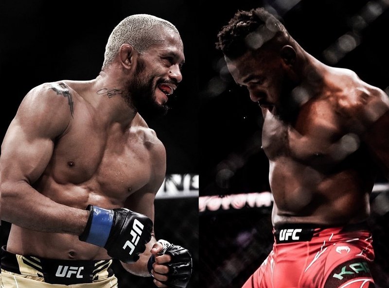 Дейвисон Фигередо срещу Манел Капе на UFC 290