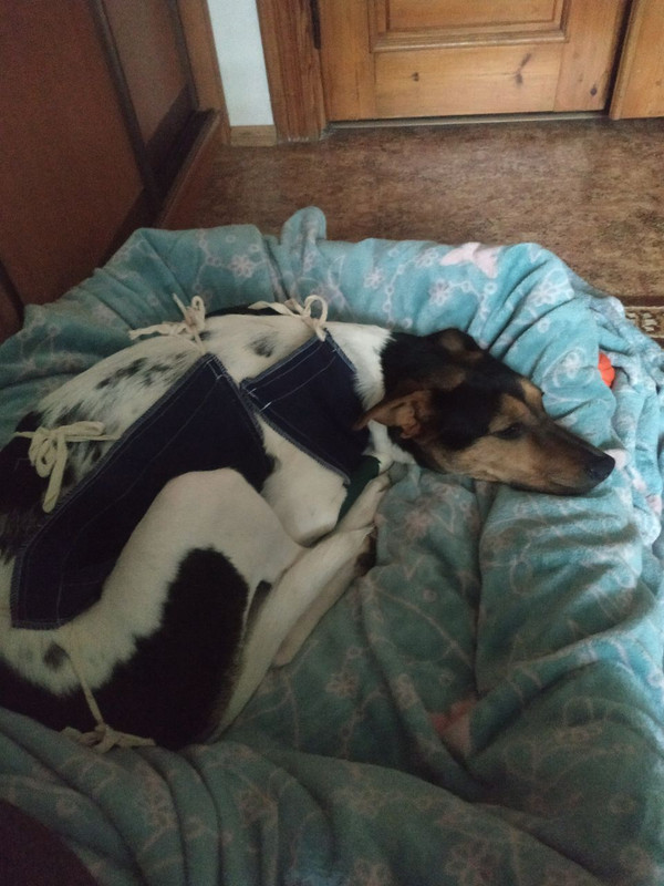 6428078B-D062-4959-ABFA-FF0FDD69DE05