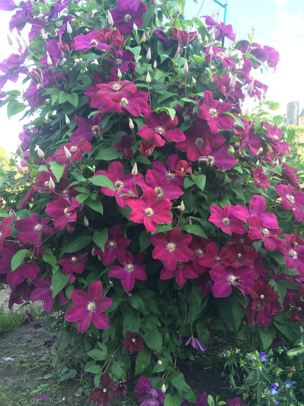 5E0C7722-CDD0-4CB3-AD13-6A966DE8E162