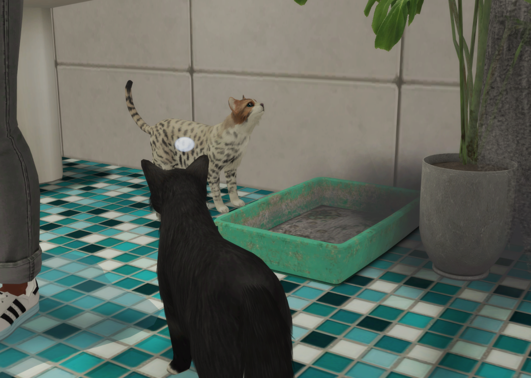 Sims2-EP9-RPC-2024-02-24-20-10-51-06