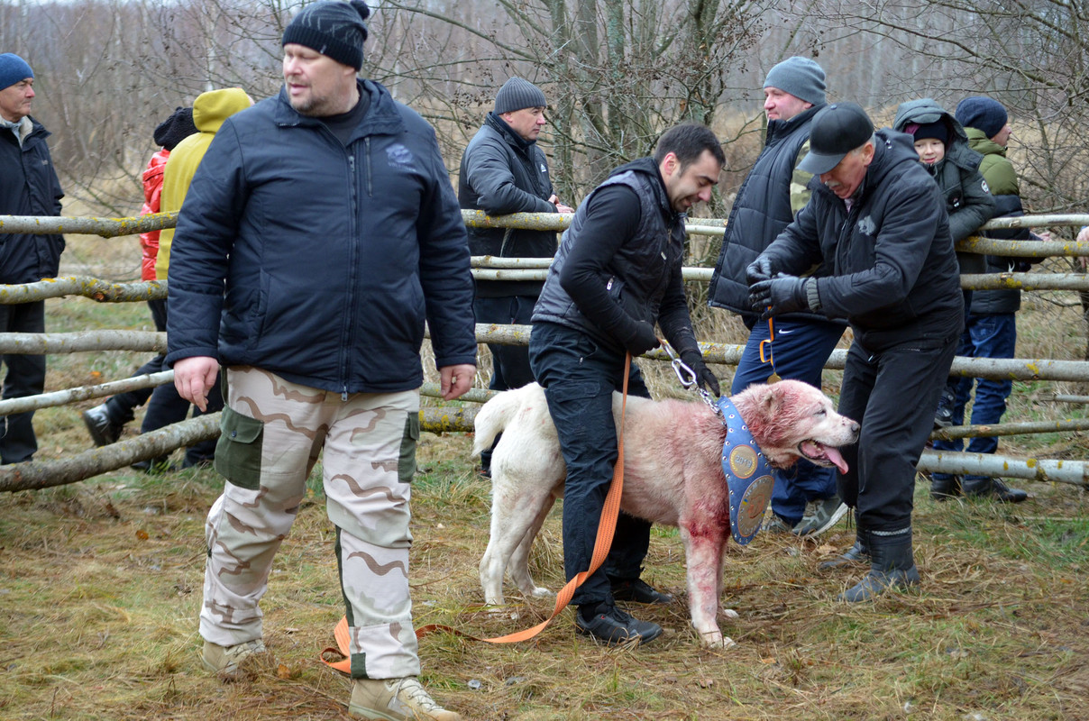 Награждение Самурыча (1)