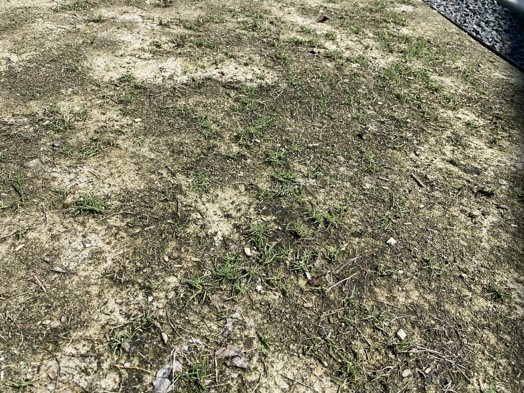 A7951AF0-7761-4B76-B3E1-E44B50F7E058