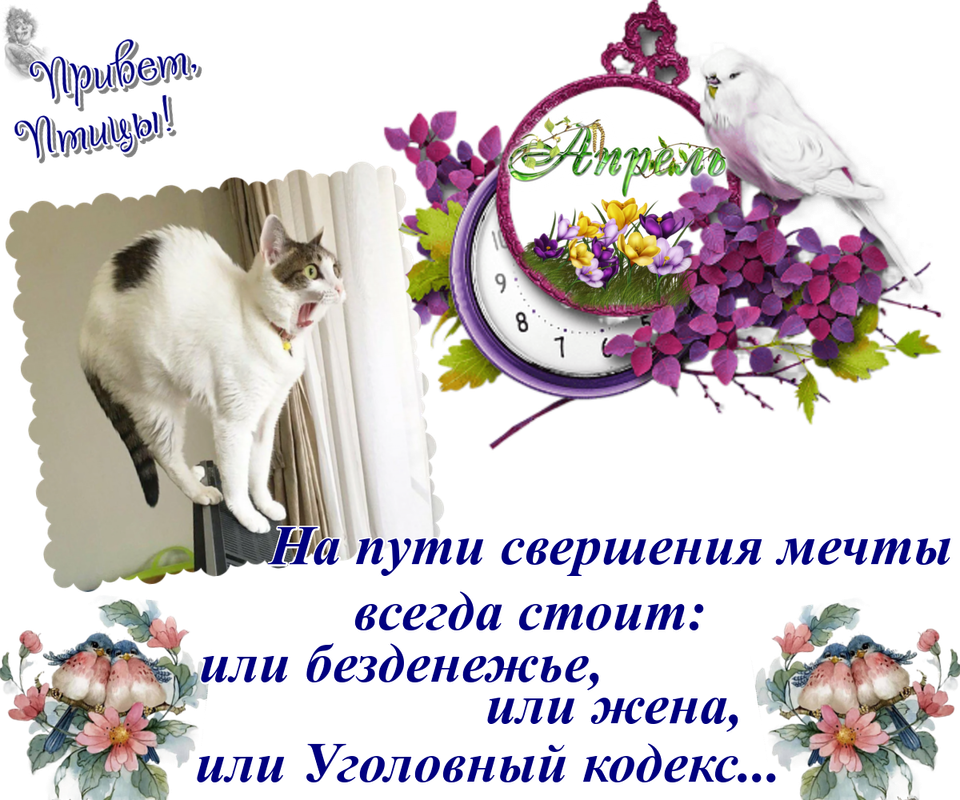 https://i.postimg.cc/SsrnGf6y/01-04.png